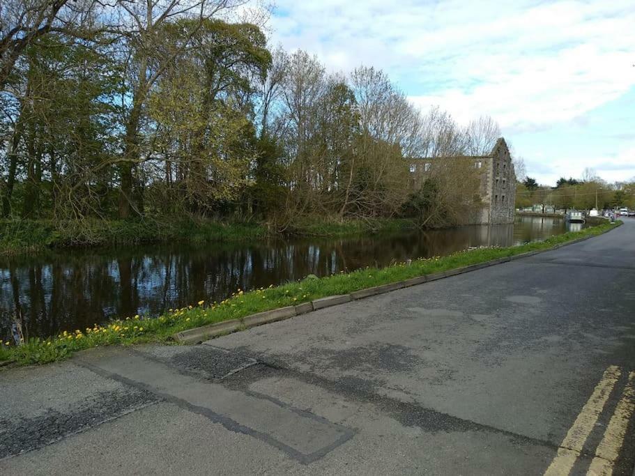 Small Town House, Barrow Lane, Bagenalstown, Carlow Exterior foto
